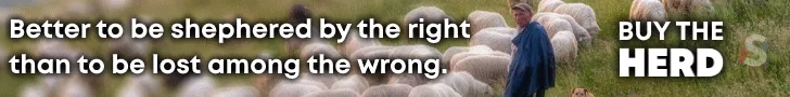 Banner ads — 7